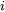 solute element